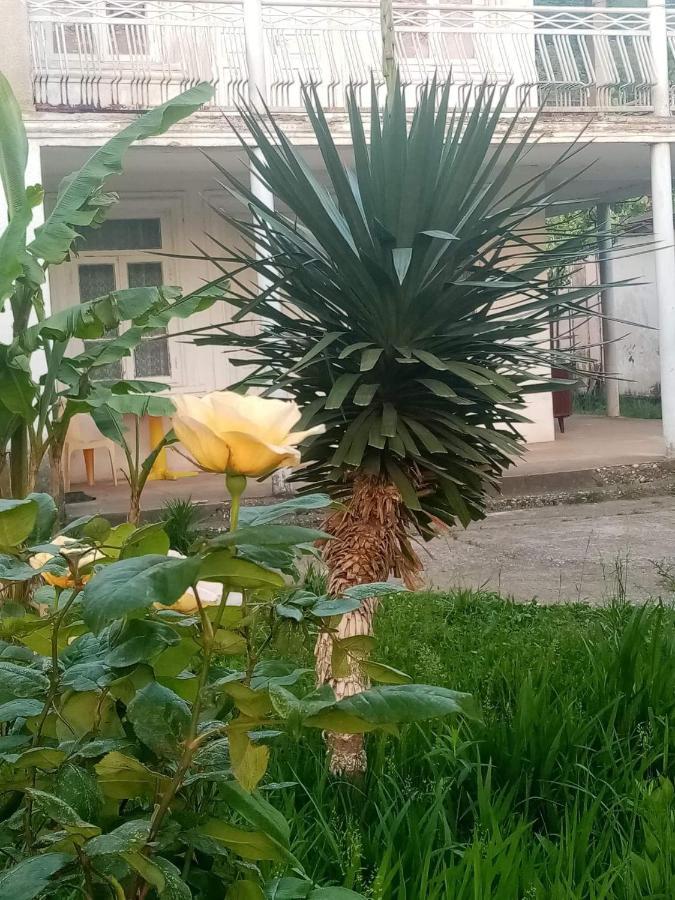 Guest House Knarik Jvari Bagian luar foto