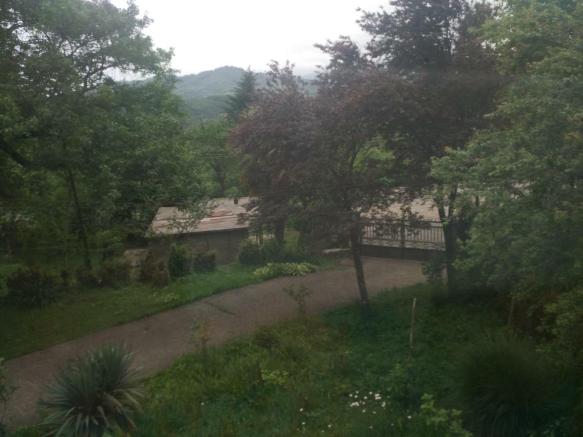 Guest House Knarik Jvari Bagian luar foto