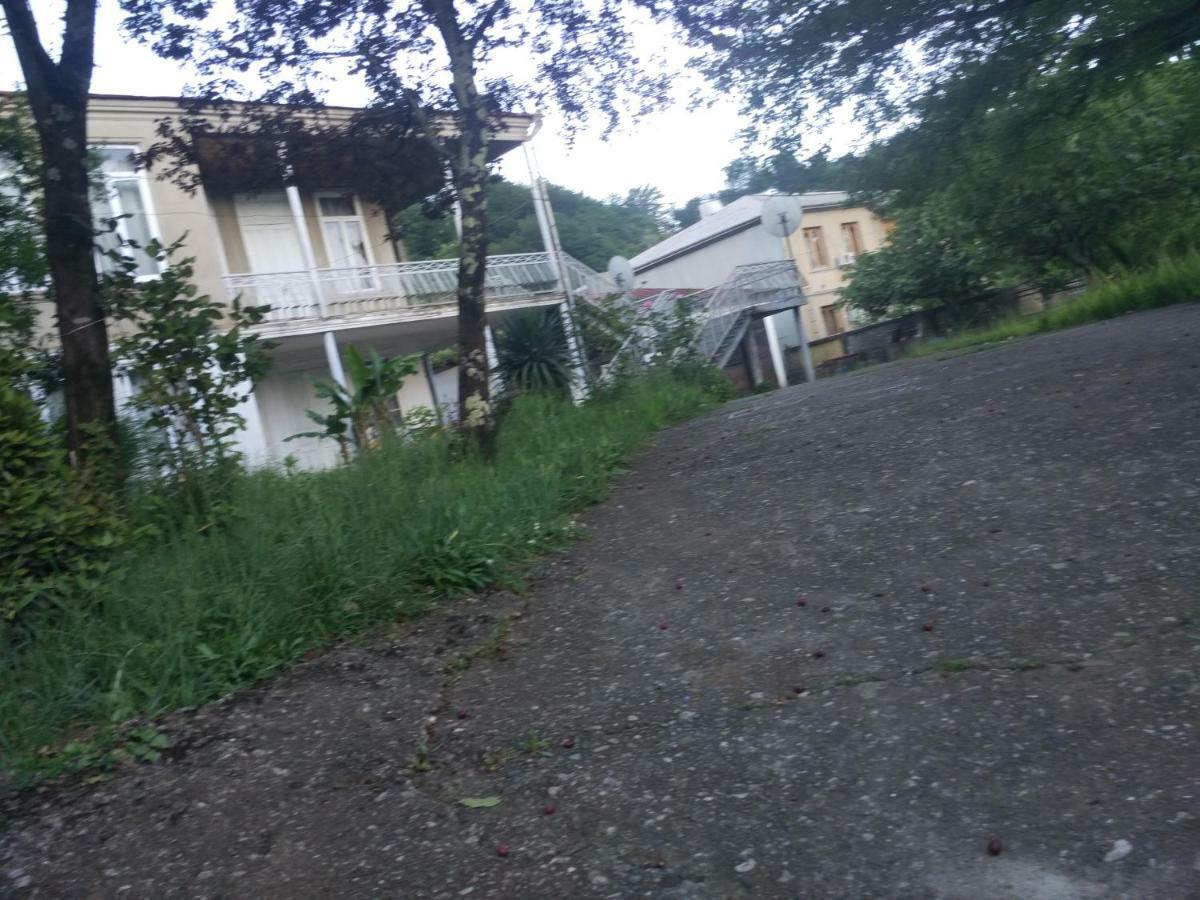 Guest House Knarik Jvari Bagian luar foto